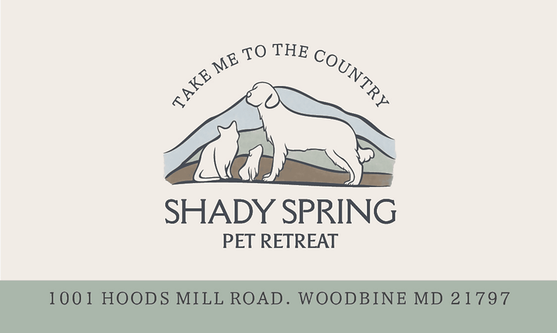 BUSINESS CARD DESIGN