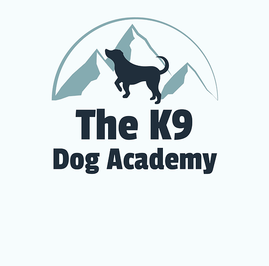 The K9 Dog Academy